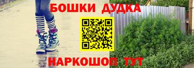 крисы Сланцы