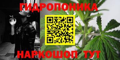 крисы Сланцы