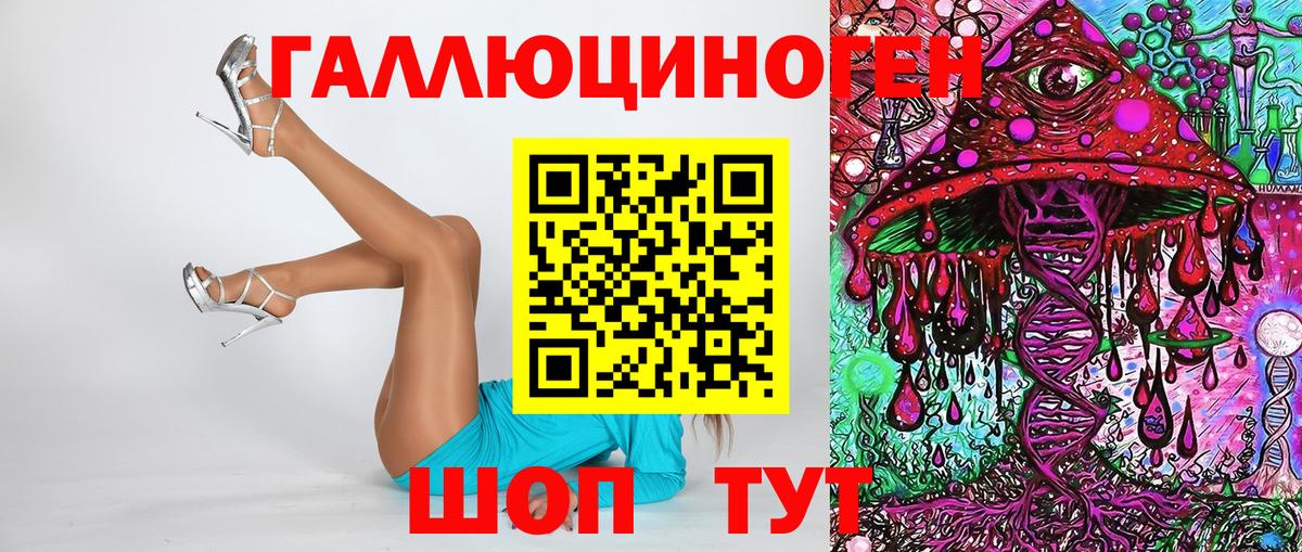 Галлюциногенные грибы Cubensis Осинники