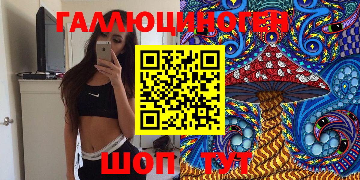 что такое   Вход с VPN  Осинники  Псилоцибиновые грибы Psilocybe 
